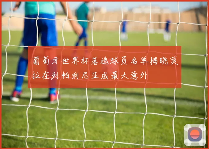 葡萄牙世界杯落选球员名单揭晓莫拉在列帕利尼亚成最大意外