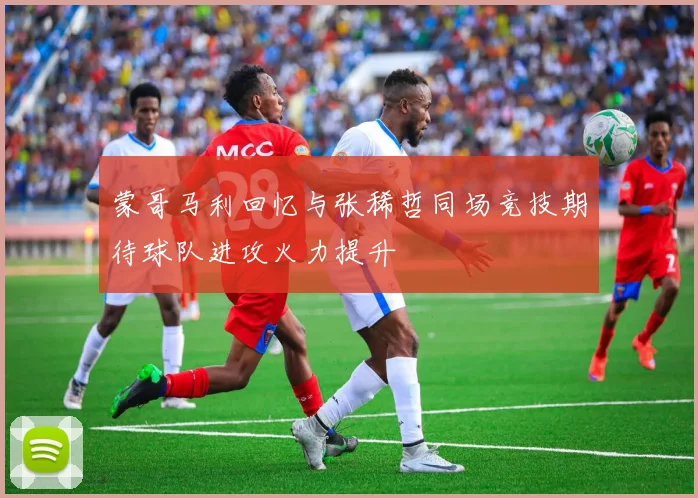 蒙哥马利回忆与张稀哲同场竞技期待球队进攻火力提升